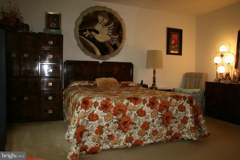 3116 Memory Lane Silver Spring, MD 20904 - Photo 15 of 27 Bedroom (Master)