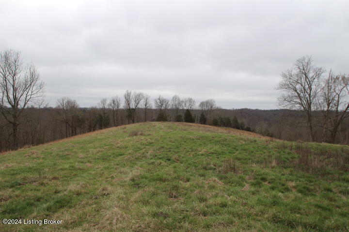 0 Timber Creek Road Lawrenceburg, KY 40342 - Photo 9 of 16 IMG_8051