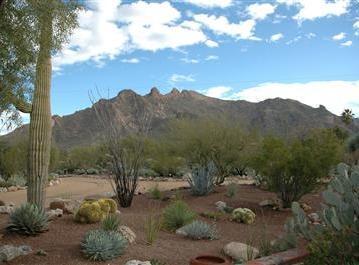 800 East Magee Road Tucson, AZ 85718 - Photo 10 of 10