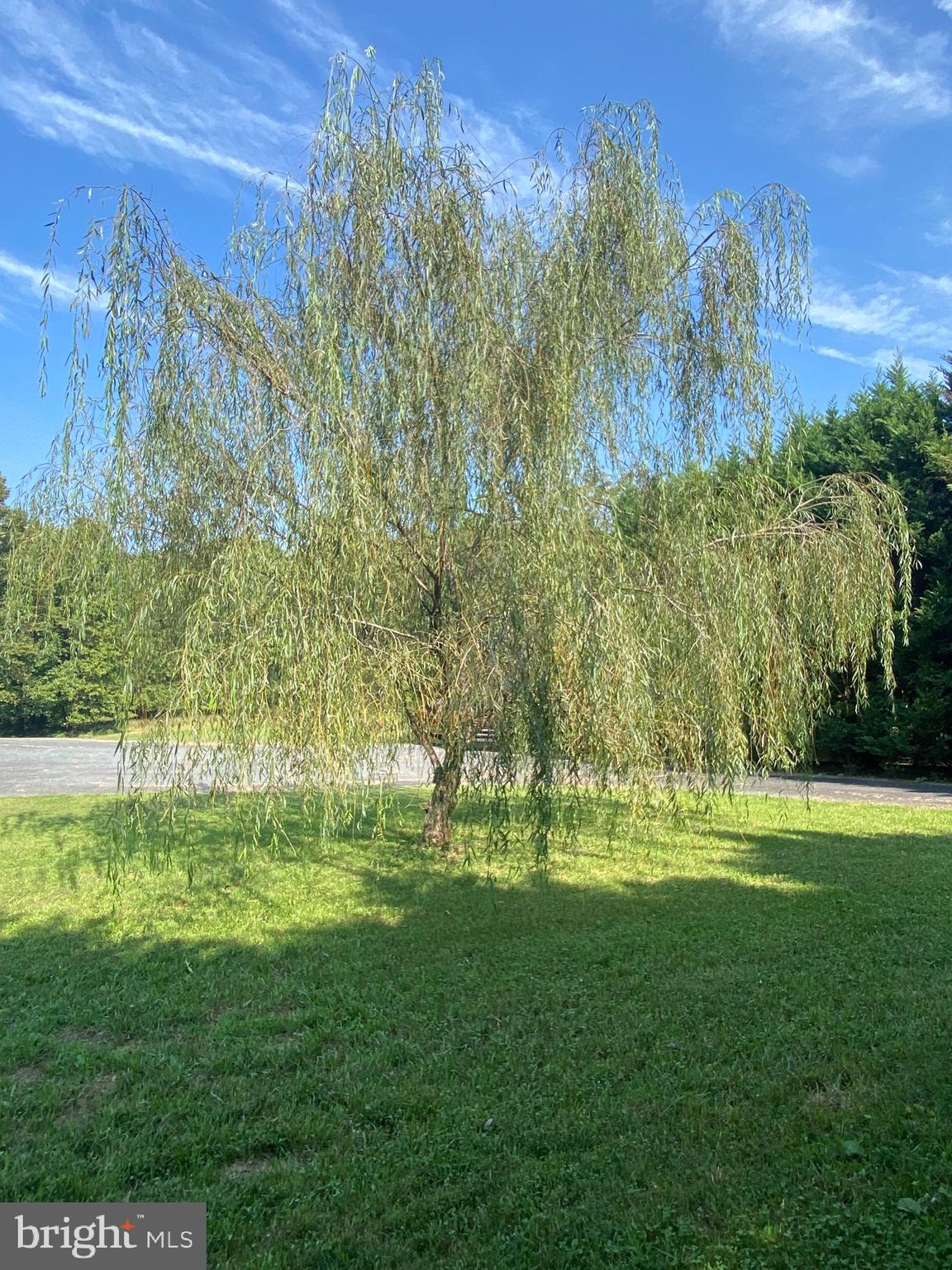 1821 Robinson Mill Road Darlington, MD 21034 - Photo 10 of 37