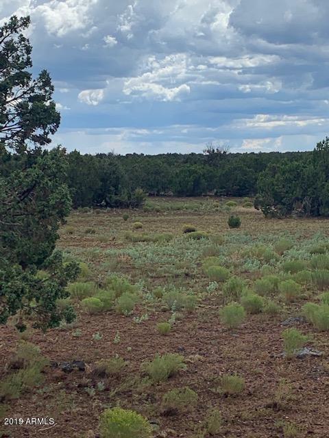 2478 Jay Road, Unit 249 Show Low, AZ 85901 - Photo 1 of 9 IMG_2481