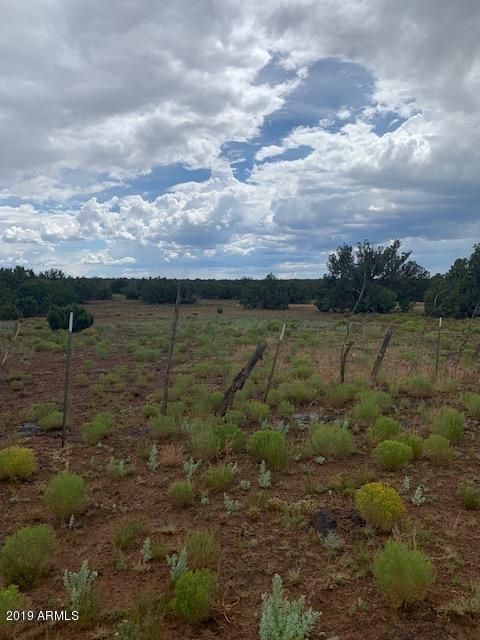 2478 Jay Road, Unit 249 Show Low, AZ 85901 - Photo 2 of 9 IMG_2482