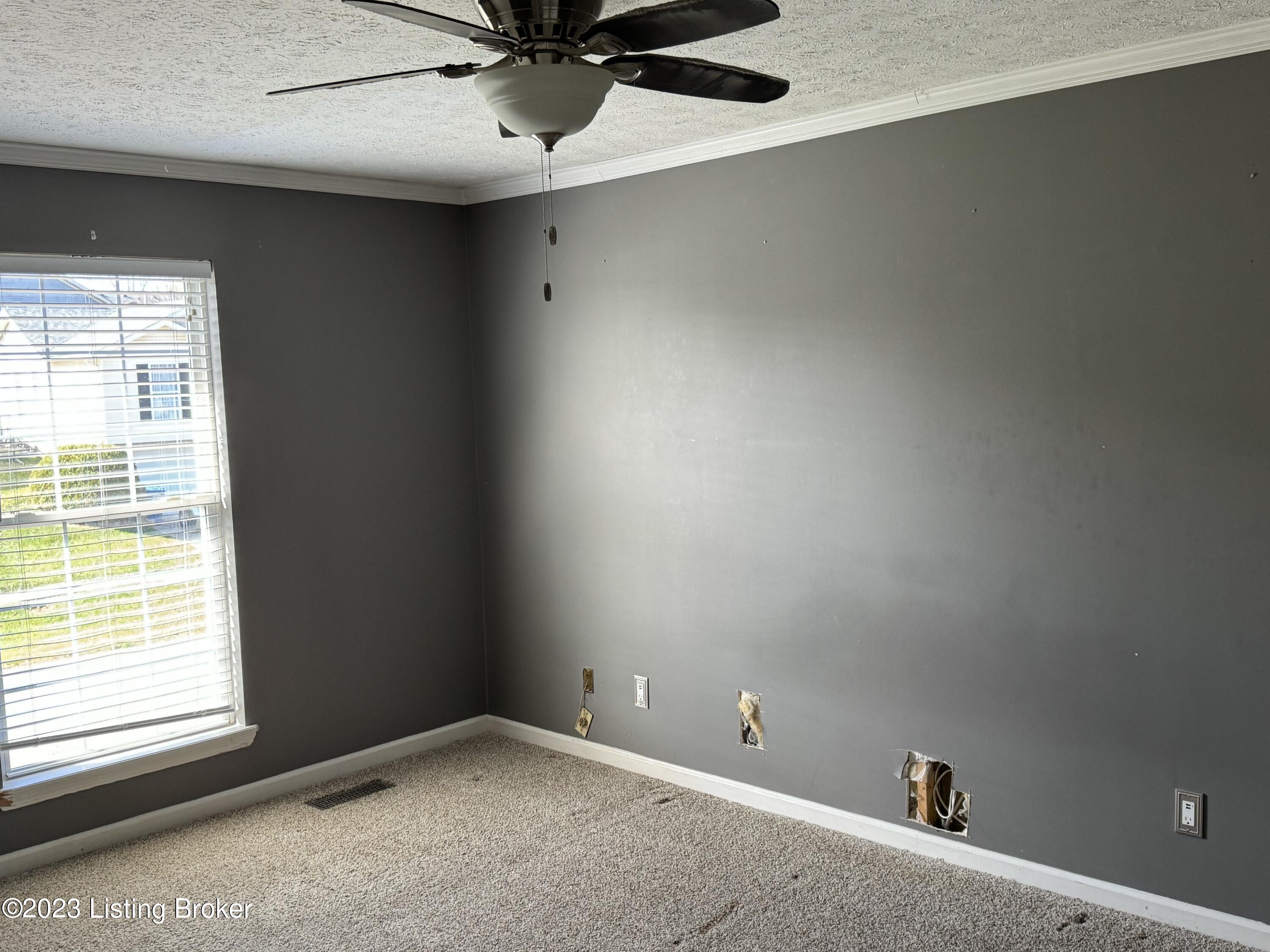 243 Rolling Ridge Way Simpsonville, KY 40067 - Photo 20 of 30 IMG_3784