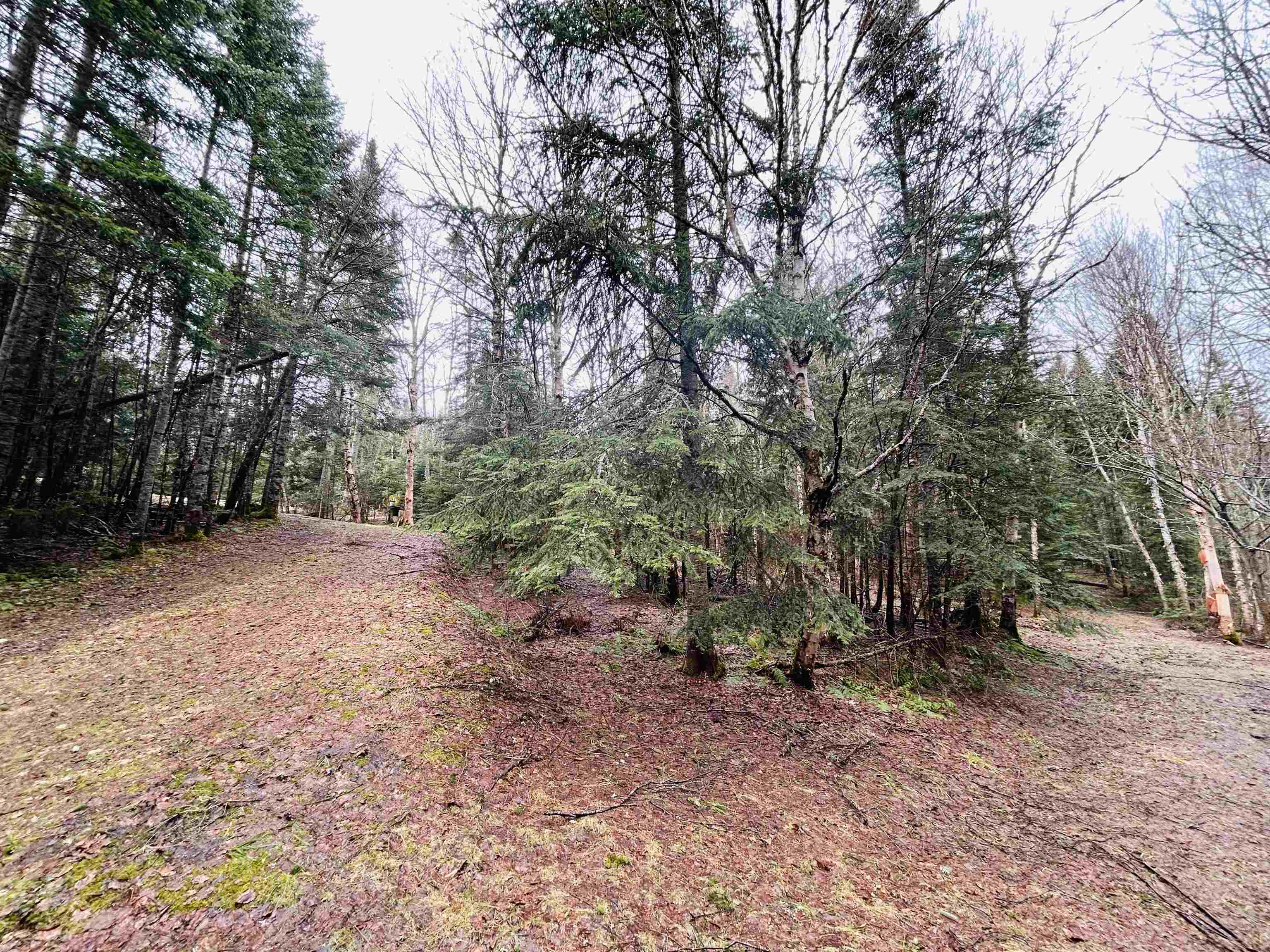 242 Noyes Road Stewartstown, NH 03576 - Photo 18 of 60