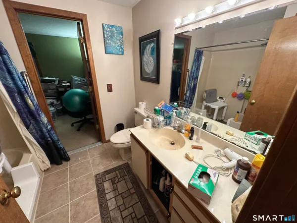 a bathroom with a sink mirror and toilet