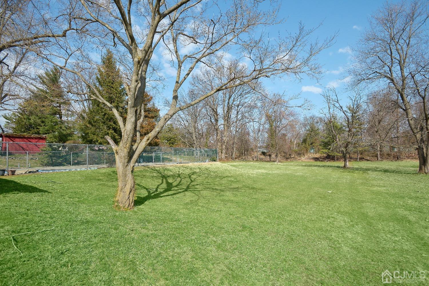 492 Plainfield Road Edison, NJ 08820 - Photo 3 of 20 a view of outdoor space with deck and trees