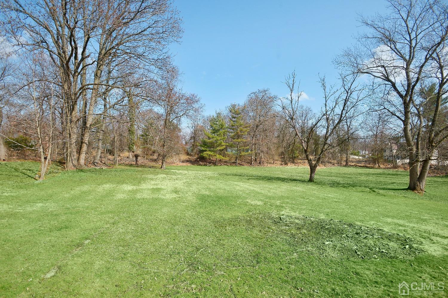 492 Plainfield Road Edison, NJ 08820 - Photo 4 of 20 a view of yard with trees