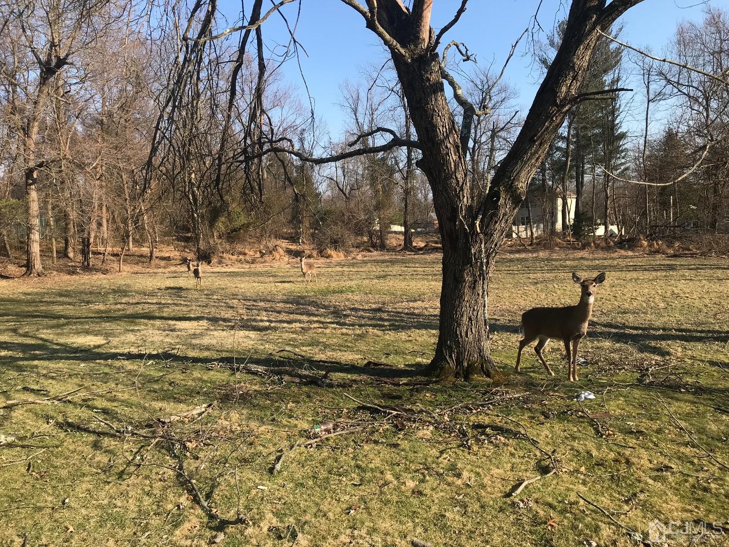492 Plainfield Road Edison, NJ 08820 - Photo 5 of 20 a view of a lake with a bench and trees