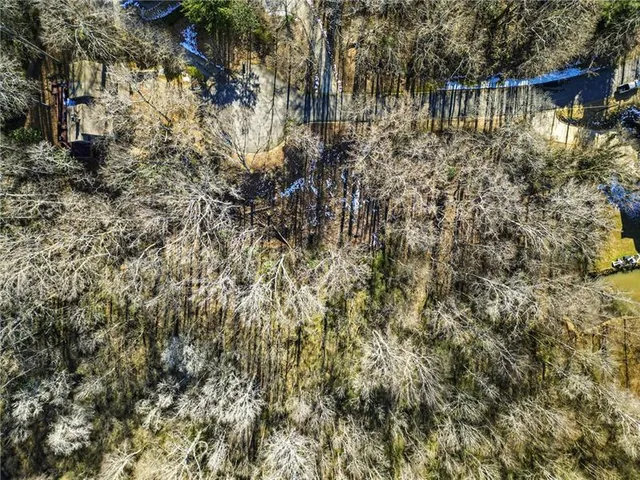 a view of a tree with a yard