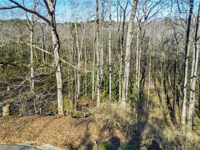 a view of shower with a dry yard