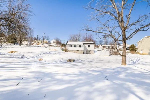 a view of a yard with a large tree