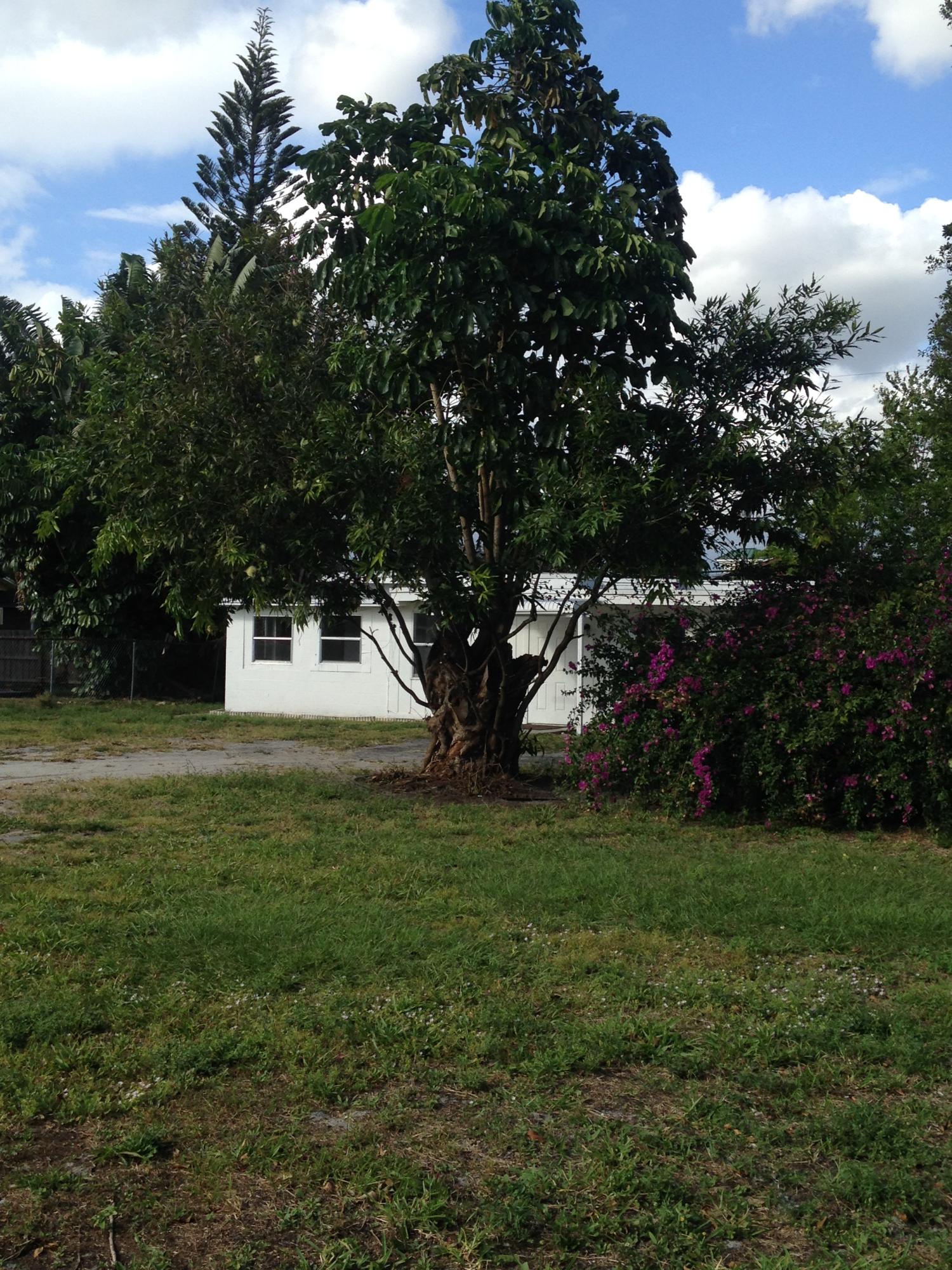 4371 Cocoanut Road West Palm Beach, FL 33406 - Photo 1 of 20 IMG_1855