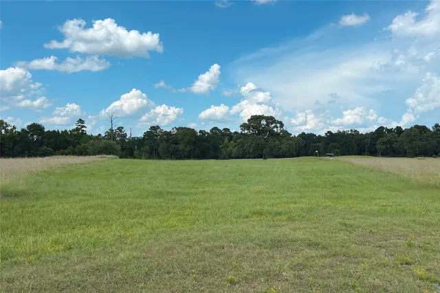 a view of a golf course with a lake