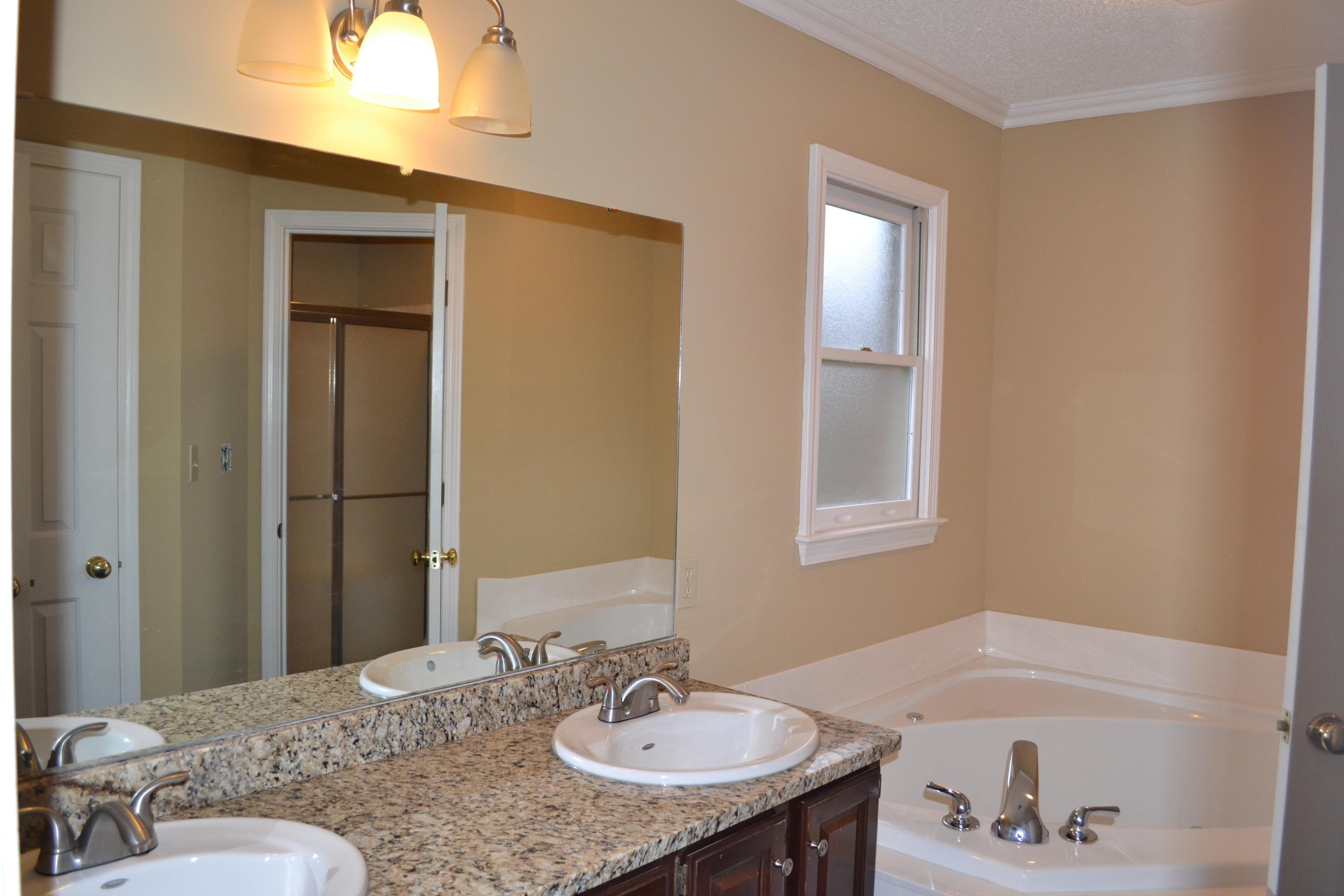 123 Capital Circle Oak Ridge, TN 37830 - Photo 12 of 18 Master Bath