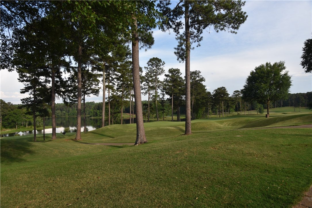 2206 Quail Ridge Opelika, AL 36801 - Photo 41 of 43 Gallery Image 41