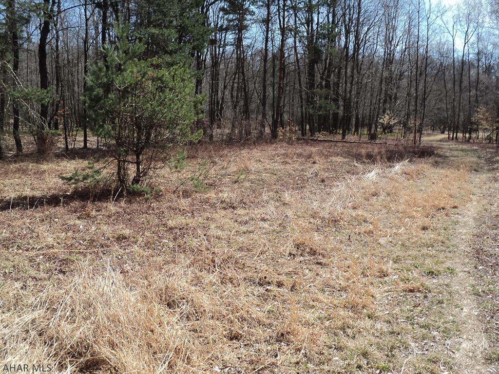 141 Tire Road Strongstown, PA 15957 - Photo 19 of 48