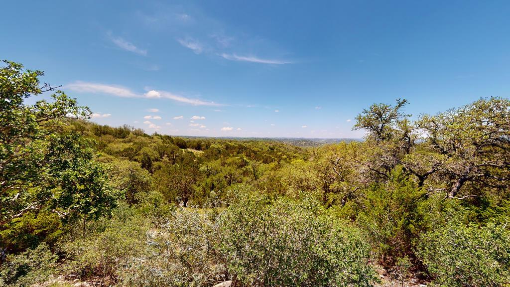 100 Joe W Road Fredericksburg, TX 78624 - Photo 1 of 25 Main View