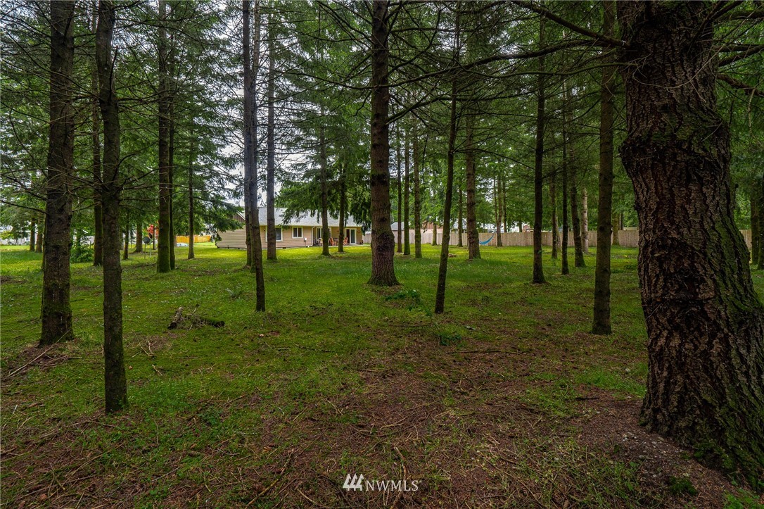 5120 180th Trail Southwest Rochester, WA 98579 - Photo 4 of 32 a view of a park with trees