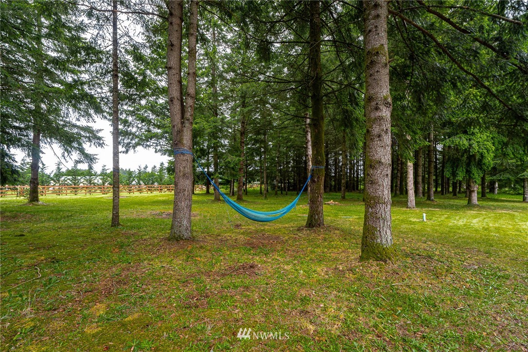 5120 180th Trail Southwest Rochester, WA 98579 - Photo 6 of 32 a view of a park with a slide