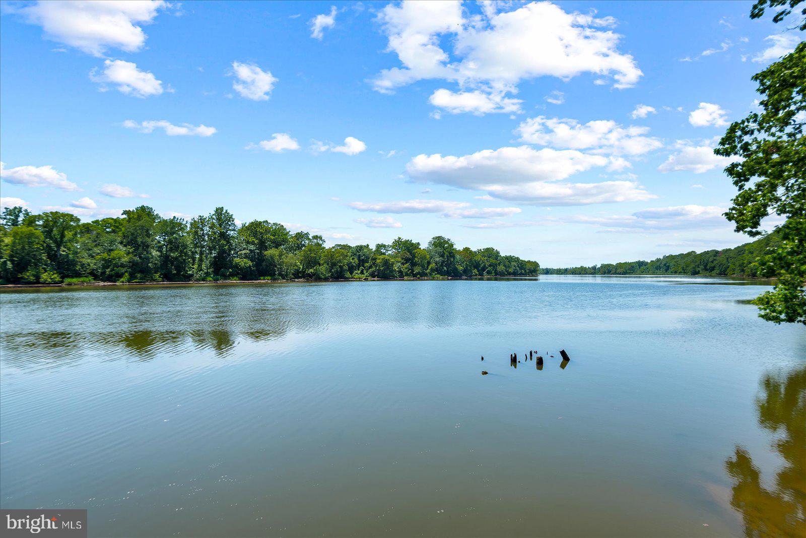 6325 Pointer Lane King George, VA 22485 - Photo 45 of 45 Come see what Hopyard Farm has to offer!