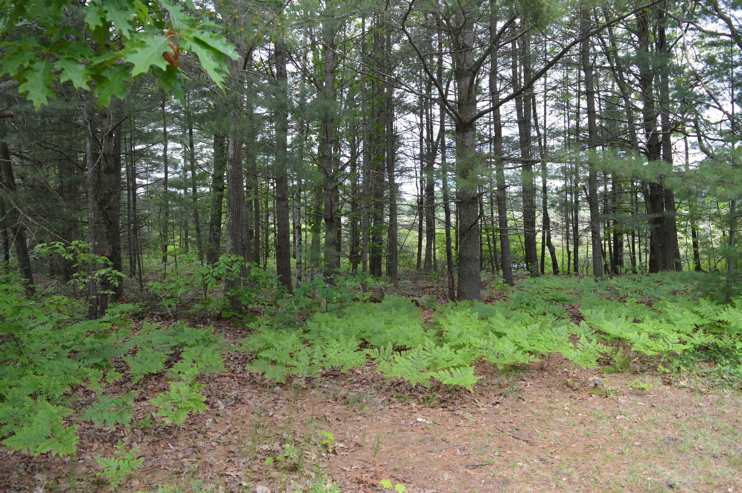 4921 Deerfield Road Kalkaska, MI 49646 - Photo 55 of 56 1900839-54.JPG