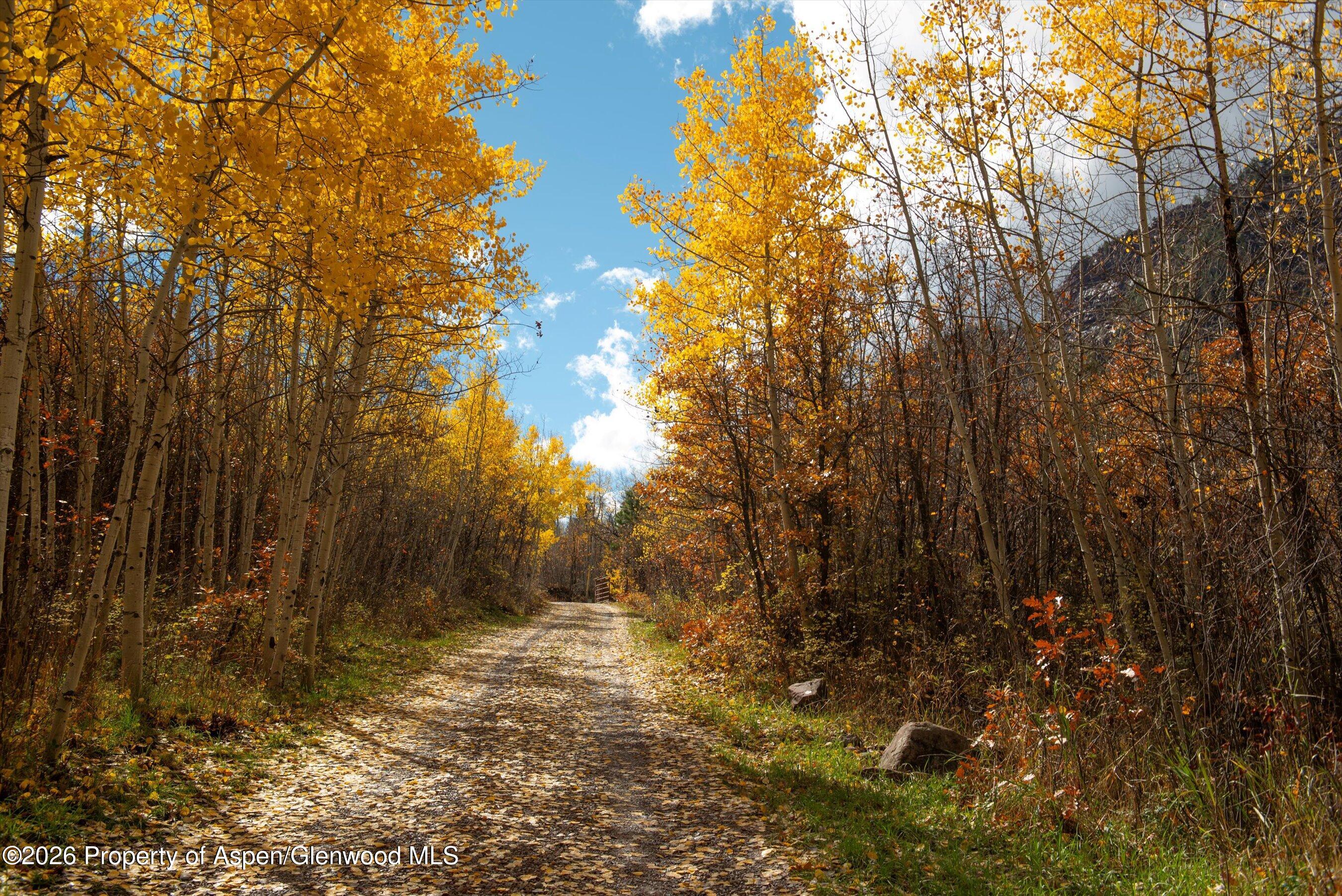 700 Dorais Way Redstone, CO 81623 - Photo 38 of 43 14-700DoraisWay_251014022