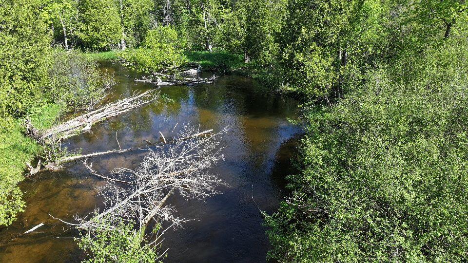 V/l West Pomeroy Springs Road Irons, MI 49644 - Photo 7 of 27 DJI_20260526094644_0371_D