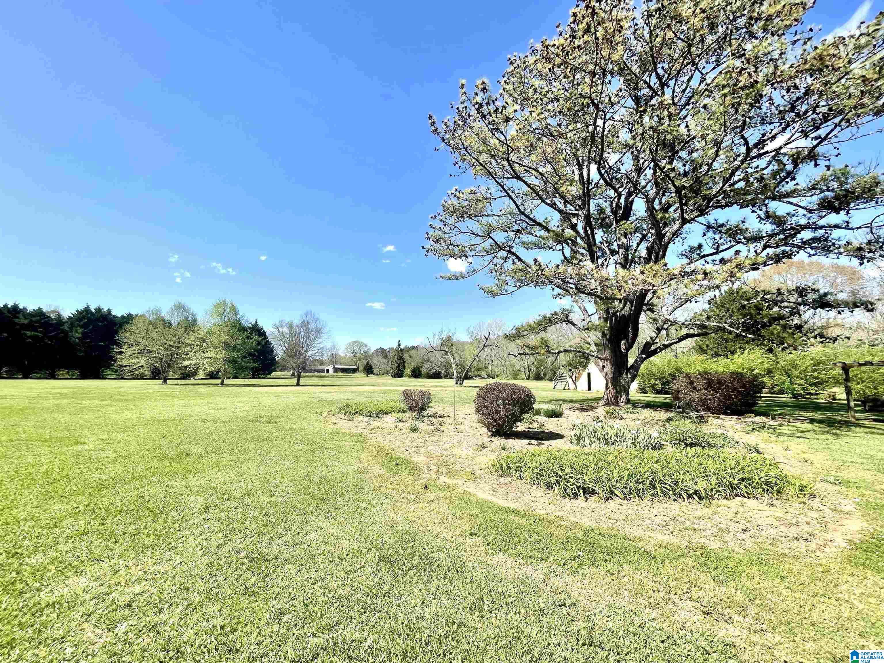 1480 Stemley Bridge Road Talladega, AL 35160 - Photo 48 of 55