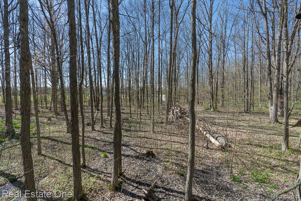 3320 Kilgore Road Avoca, MI 48006 - Photo 61 of 78