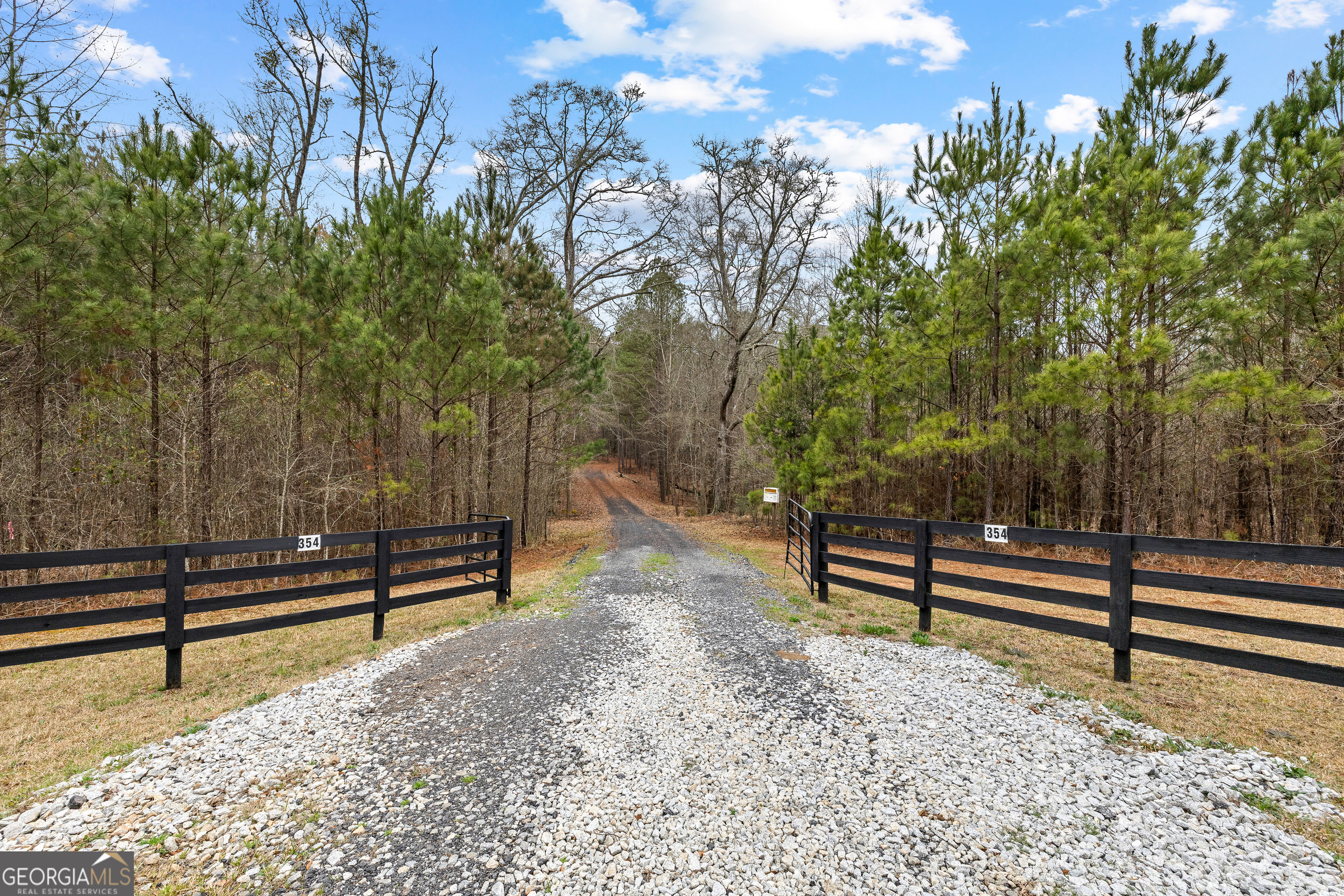 354 Turner Road Newnan, GA 30263 - Photo 4 of 79 a view of outdoor space with trees