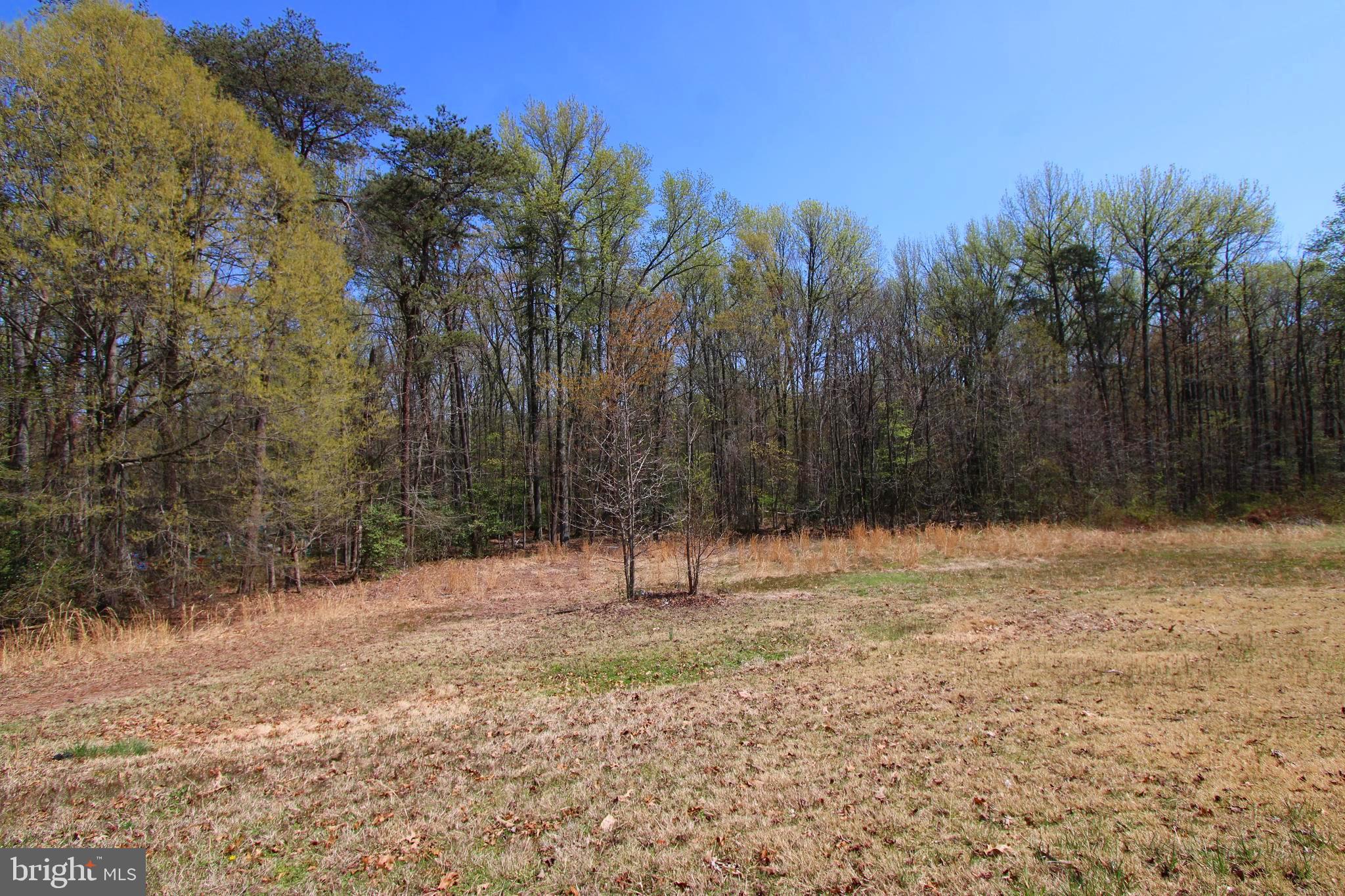 4346 Mountain Road Pasadena, MD 21122 - Photo 48 of 50 Gallery Image 48
