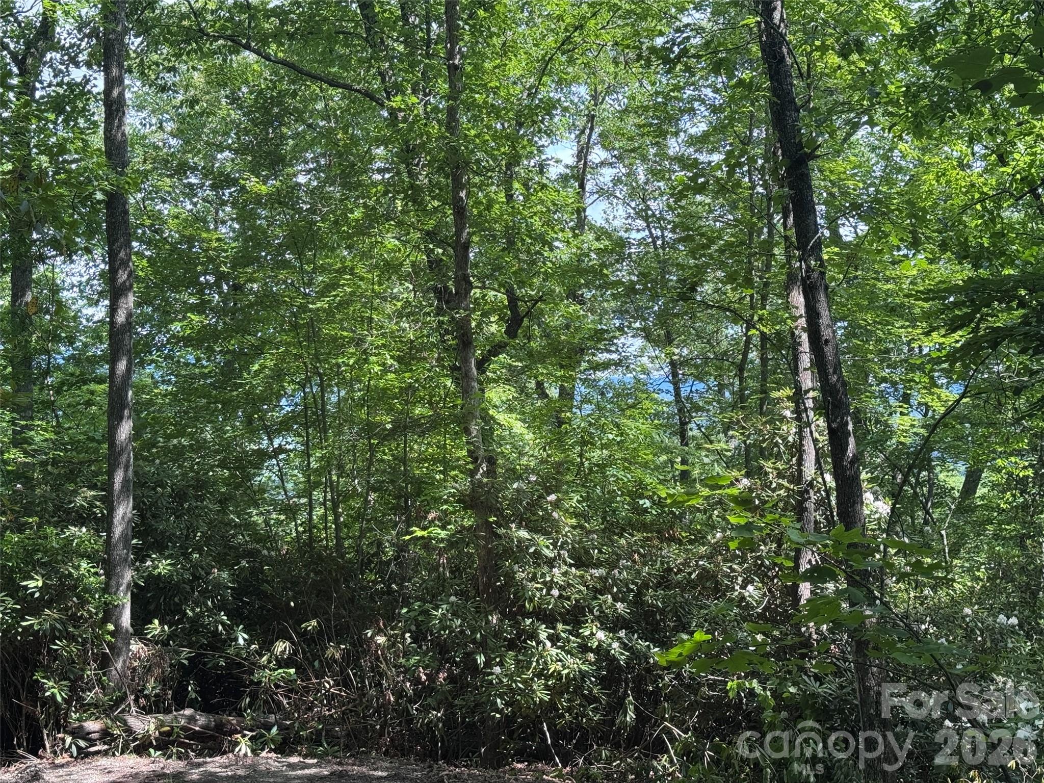 10 A Reserve Road Pisgah Forest, NC 28768 - Photo 22 of 33