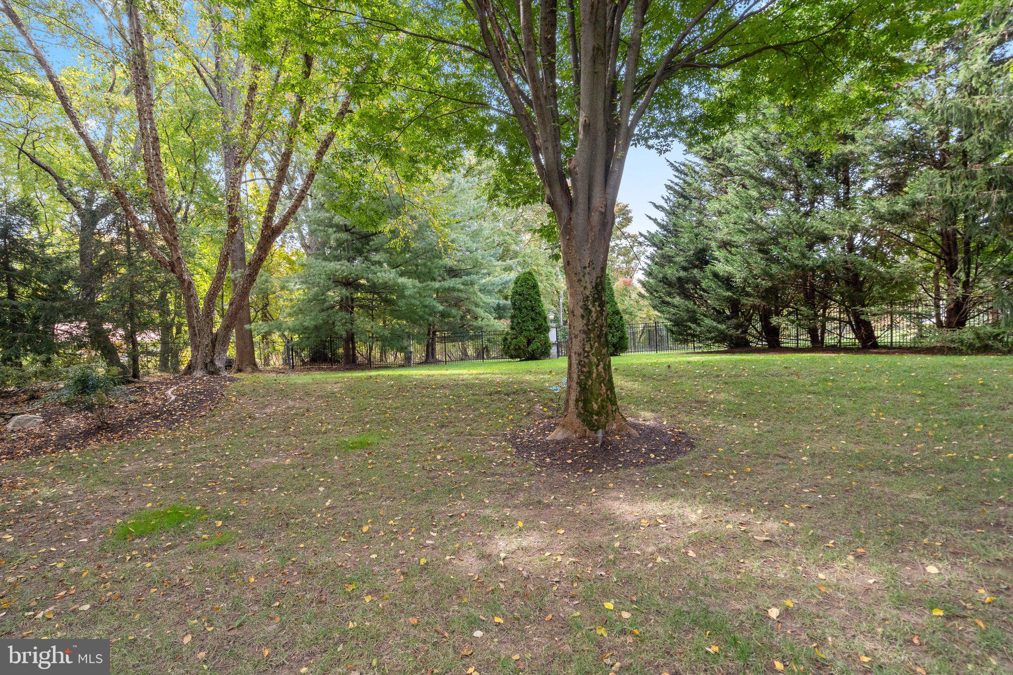 1306 Hennessy Terrace Silver Spring, MD 20906 - Photo 67 of 74 Yard