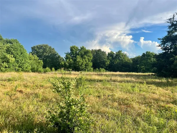 a view of a yard with potted plants