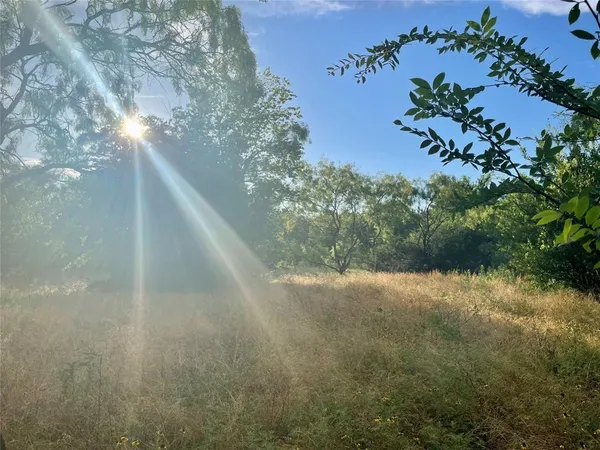 a view of a yard with a tree