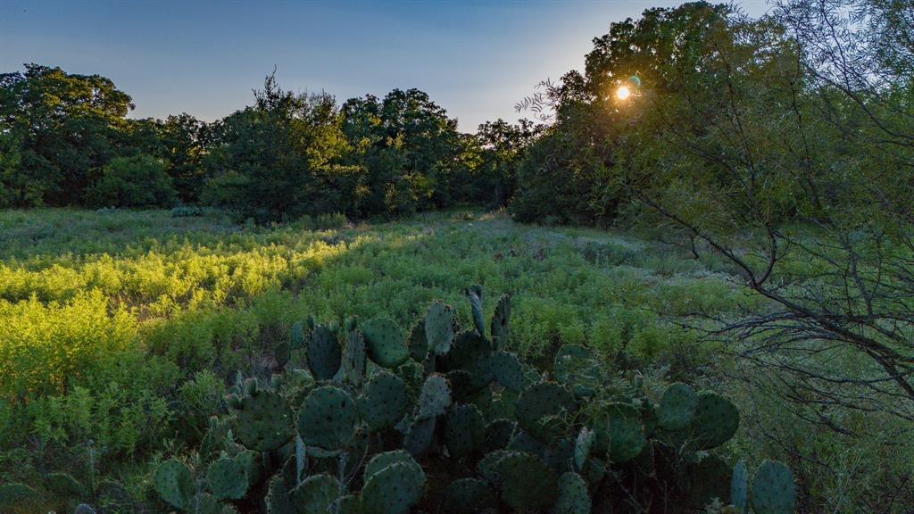 Tbd Bloodworth Road Bowie, TX 76230 - Photo 10 of 25
