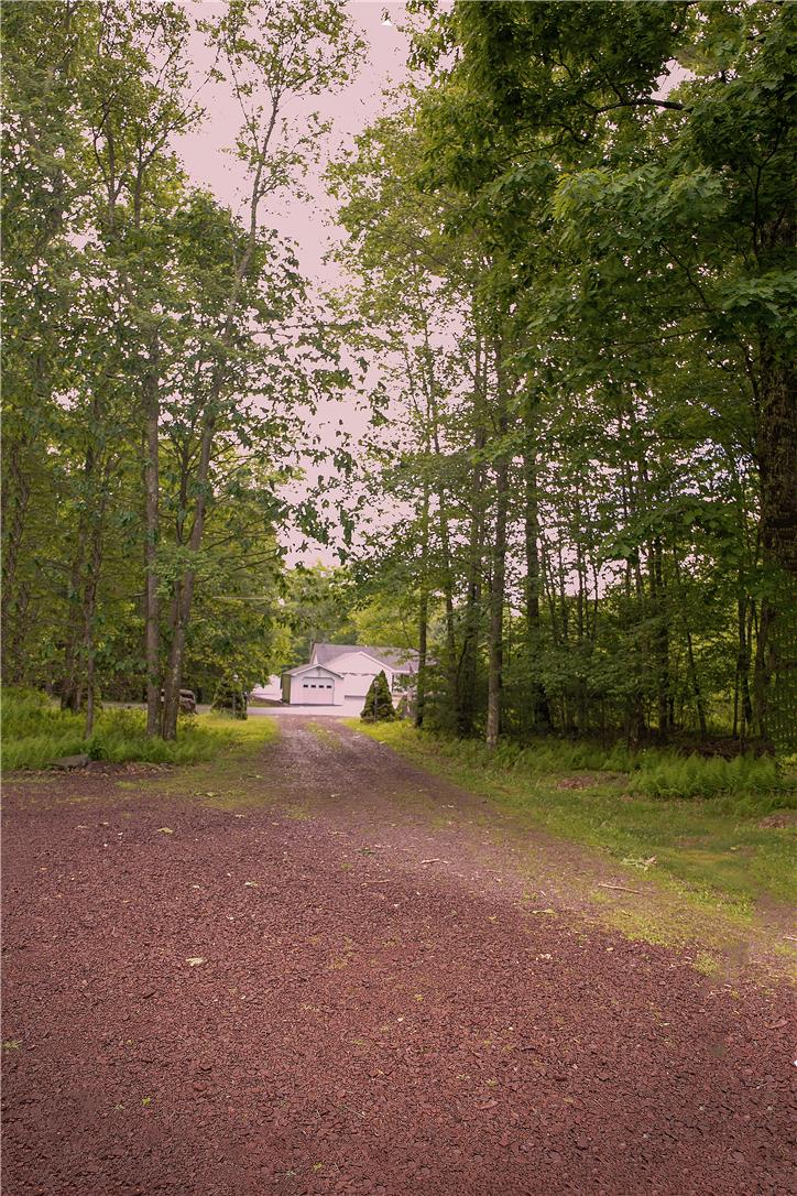 50 Anthony's Road White Haven, PA 18661 - Photo 48 of 57 a view of a field with trees in background