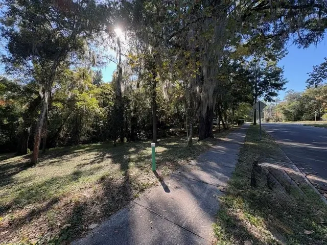 a view of backyard with green space