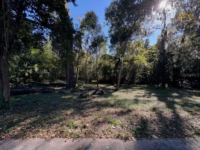 a view of backyard with green space