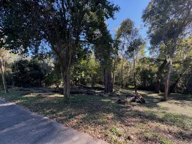 a view of outdoor space with trees