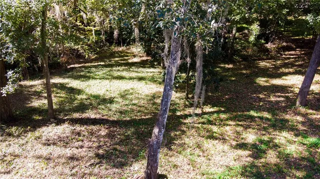 a view of a tree in the yard next to a house