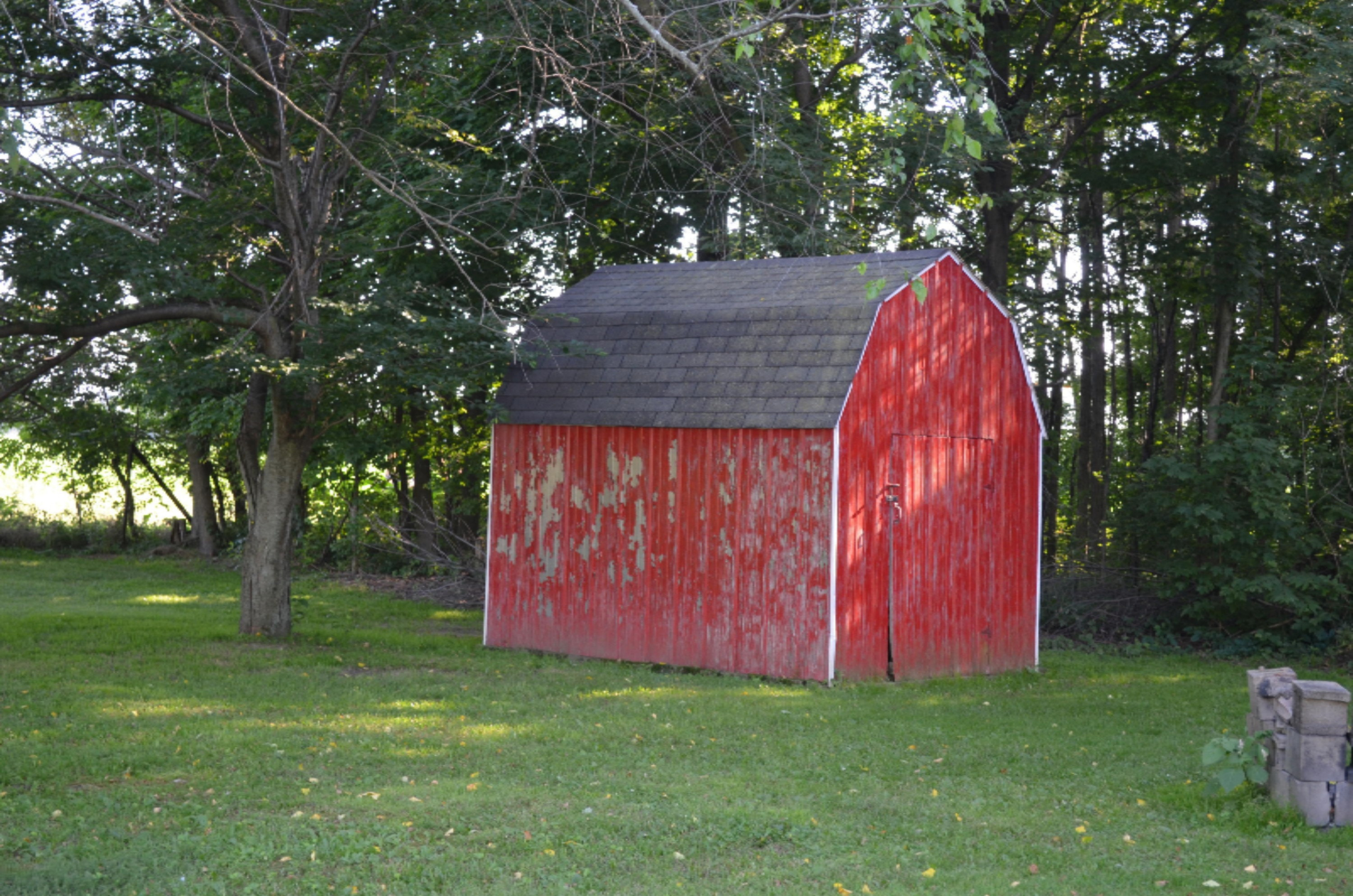 53592 Fulton Road Leonidas, MI 49066 - Photo 8 of 36 DSC_0278