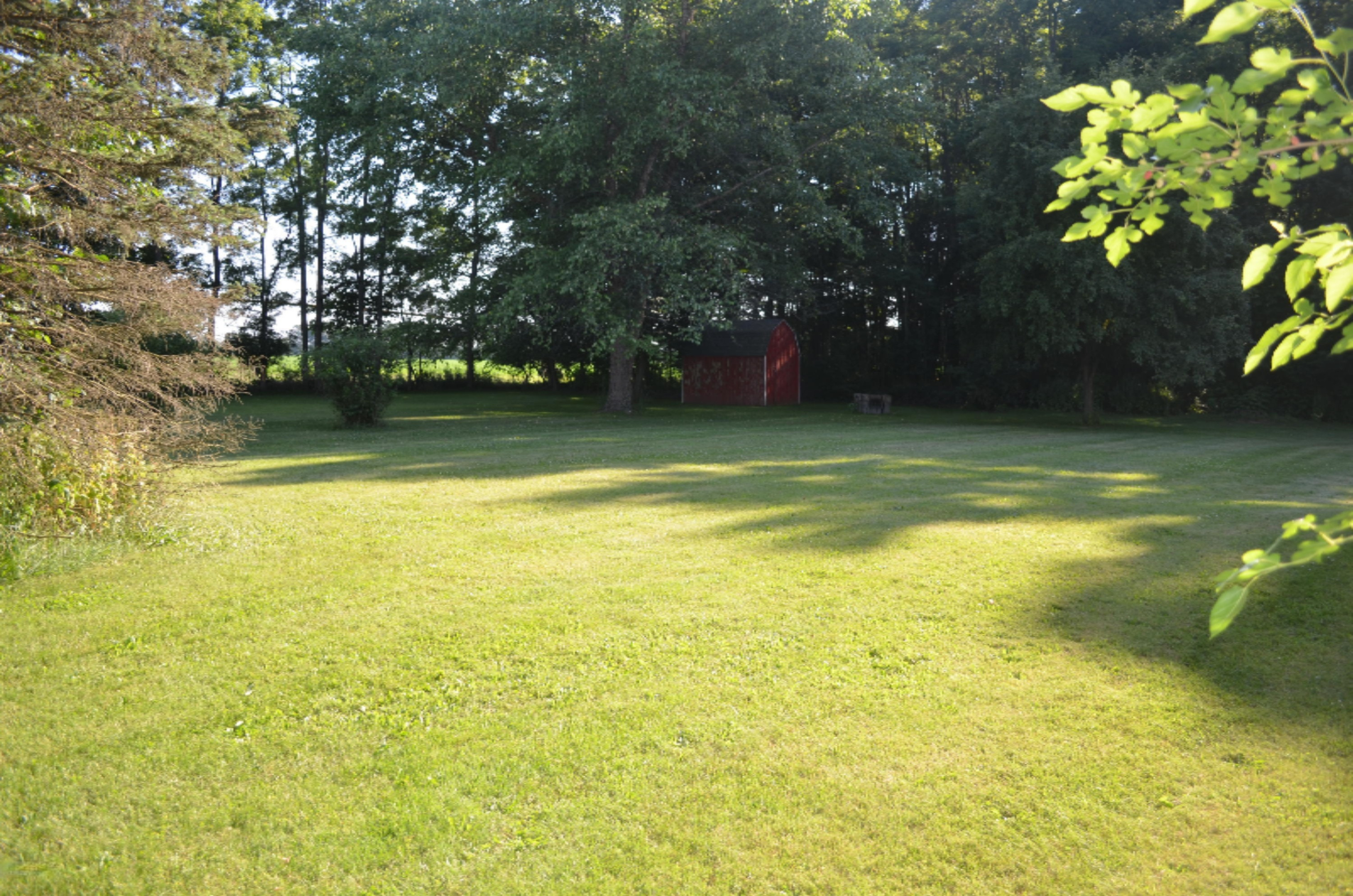 53592 Fulton Road Leonidas, MI 49066 - Photo 10 of 36 DSC_0281