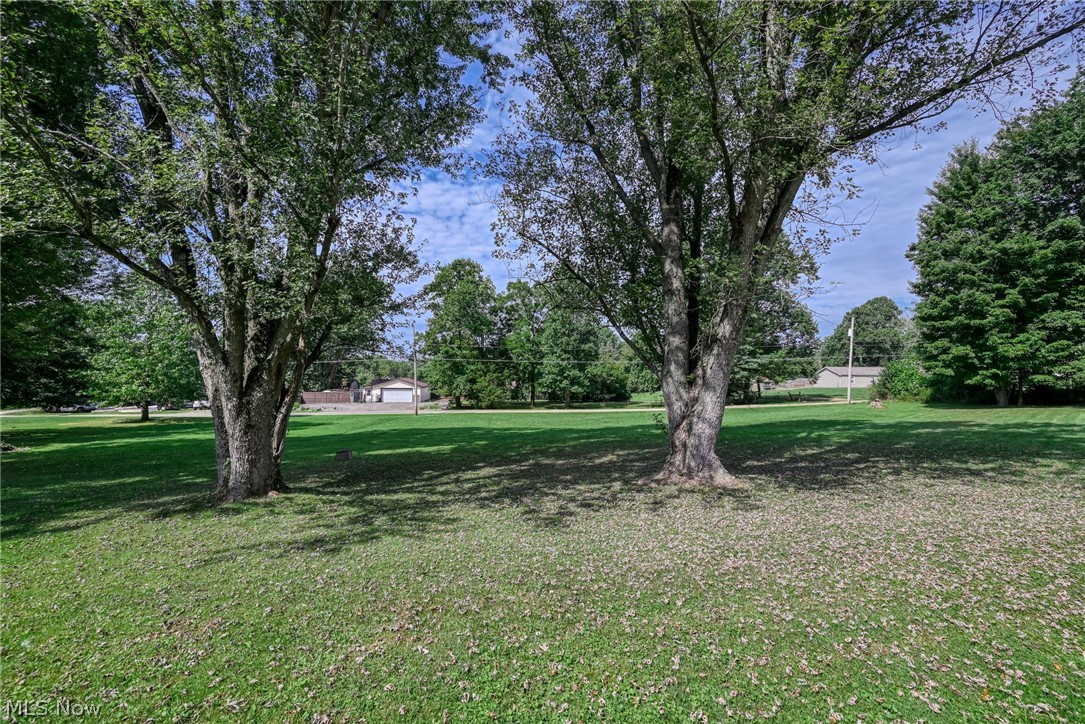6503 Garrett Road Ravenna, OH 44266 - Photo 34 of 50 Expansive green lawn with mature trees providing natural shade