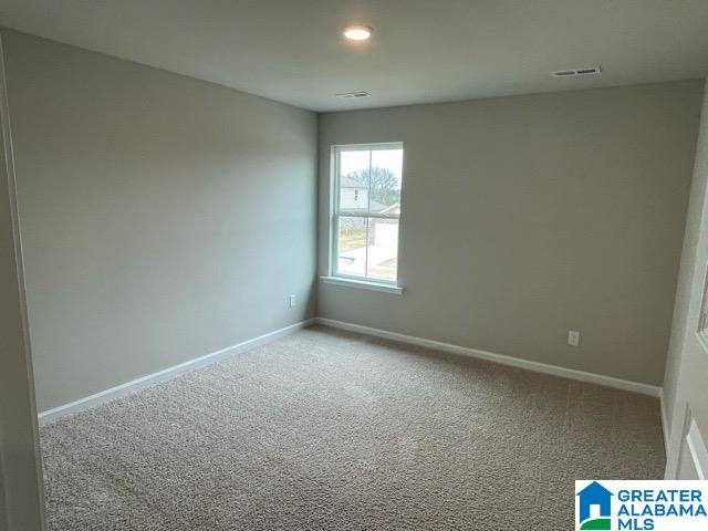 102 Old Shell Road Meridianville, AL 35759 - Photo 23 of 29