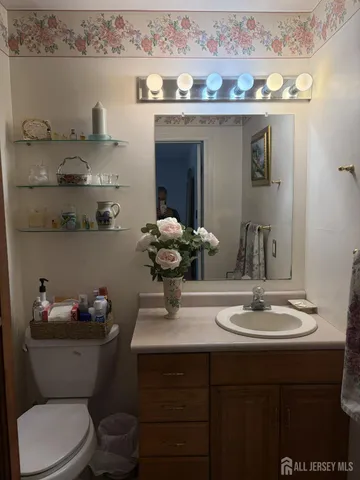 a bathroom with a sink a toilet and a mirror