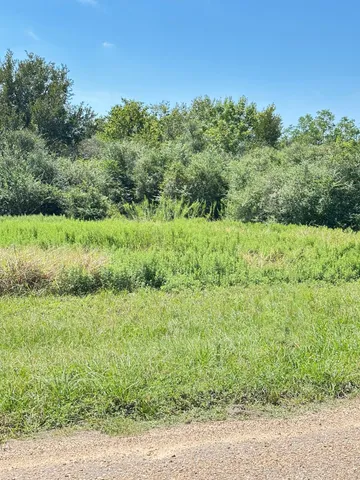 a view of a lush green space