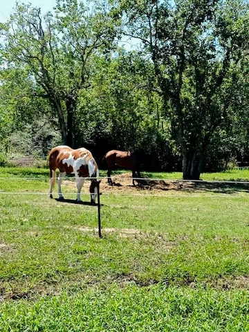 a view of a garden with a slide