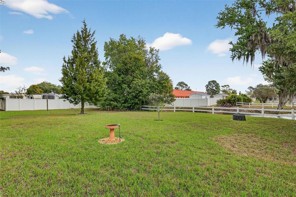 469 Santa Fe Road Tavares, FL 32778 - Photo 25 of 37 a fire hydrant in the middle of a field