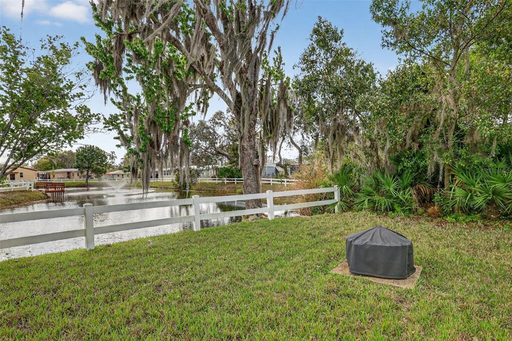 469 Santa Fe Road Tavares, FL 32778 - Photo 26 of 37 a view of backyard with green space